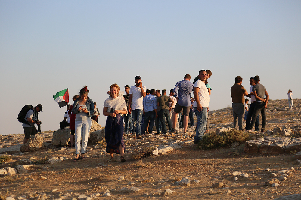 Sumud Project